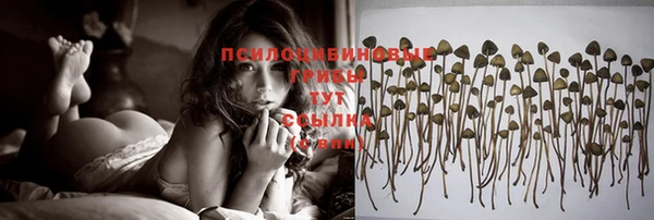 ECSTASY Дмитриев