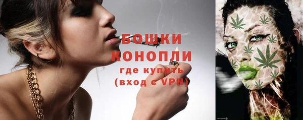 ECSTASY Дмитриев