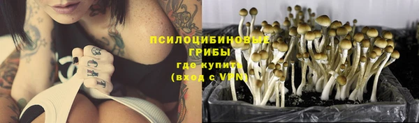 jwh Дмитров