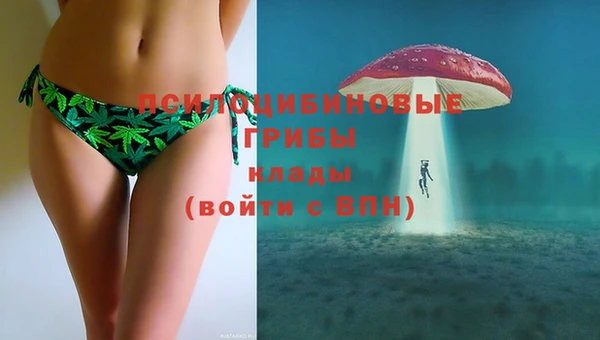 jwh Дмитров