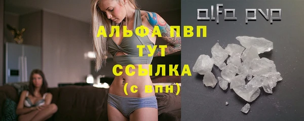 ECSTASY Дмитриев