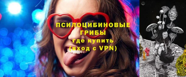 ECSTASY Дмитриев