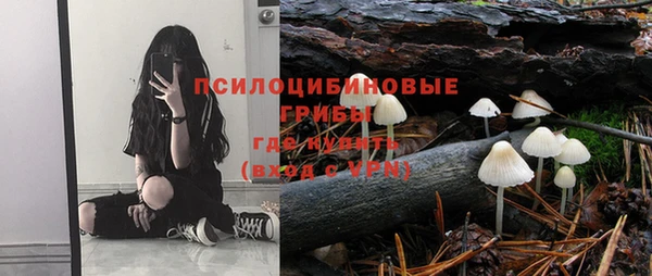 jwh Дмитров